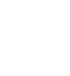 Logo with a pineapple and text: Cruz Bay Watersports.