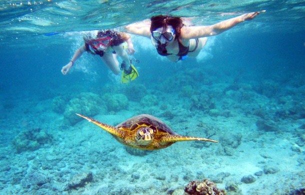 girls snorkeling following a sea turtle