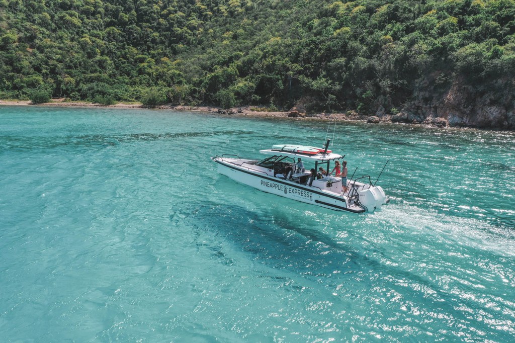 Boat sailing on turquoise water near lush green hillside.