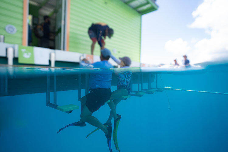 Person with flippers enters water from a green building, half above and half underwater view.