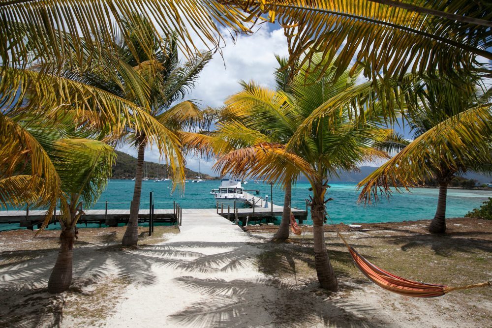Dock and boat through palm trees on a tropical beach, with hammock under palm shade.